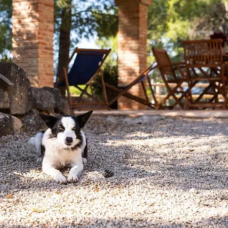 Mas De L'acordio Chalet