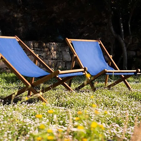 Mas De L'acordio Domek alpejski Valderrobres