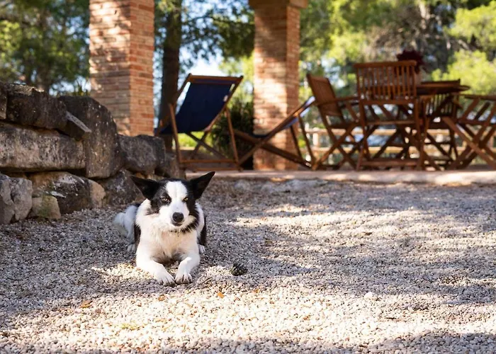 Mas De L'acordio Alpstuga